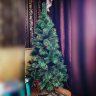 Ёлка новогодняя - искусственная сосна 180 см