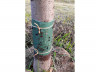 Клейкий пояс для деревьев "Aeroxon" 3,5 м