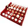 Комплект универсальных лотков для куриных, утиных, гусиных и перепелиных яиц